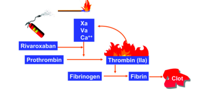 Alfa Chemistry Materials Rivaroxaban - Application in The Treatment of Thromboembolic Diseases - 1