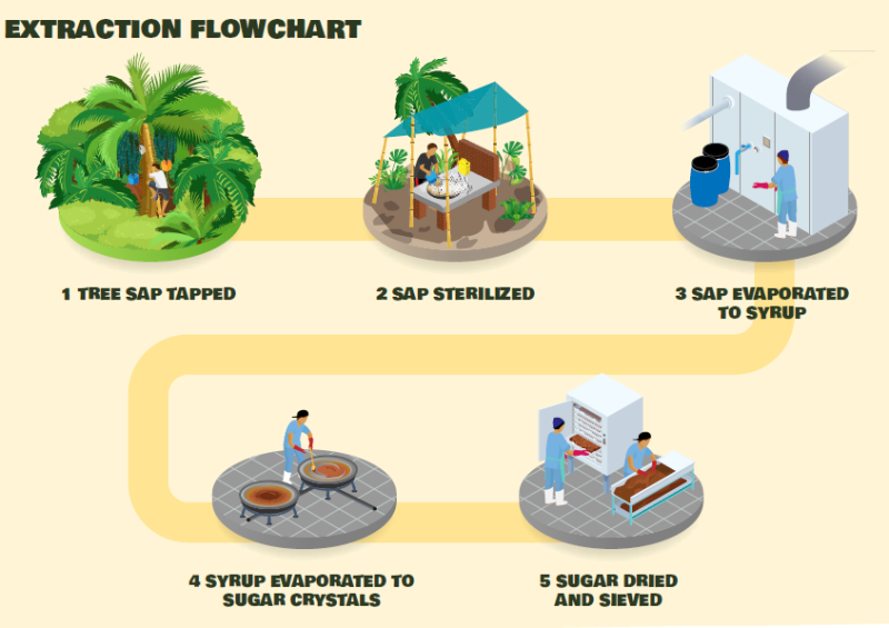 Forestwise Organic Arenga Rainforest Sugar - Extraction Flowchart
