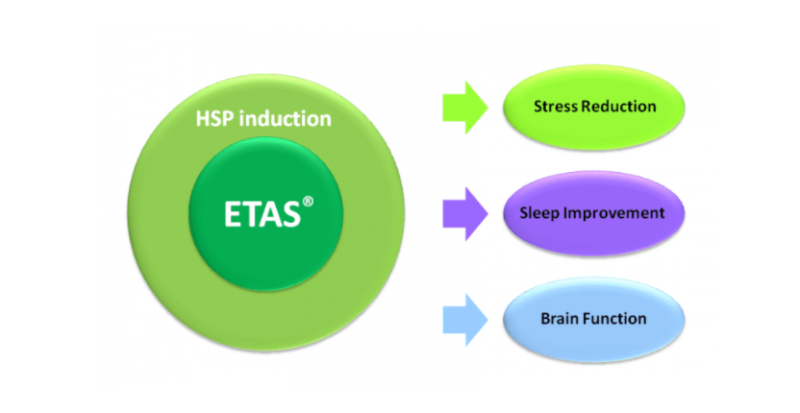 ETAS® - Etas®, An Innovative Asparagus Extract