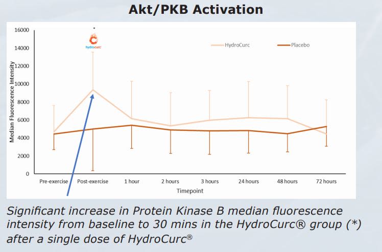 HydroCurc® - Exercise Recovery Study