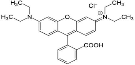 Lavanya Freesia - Rhodamine B - Chemical Structure