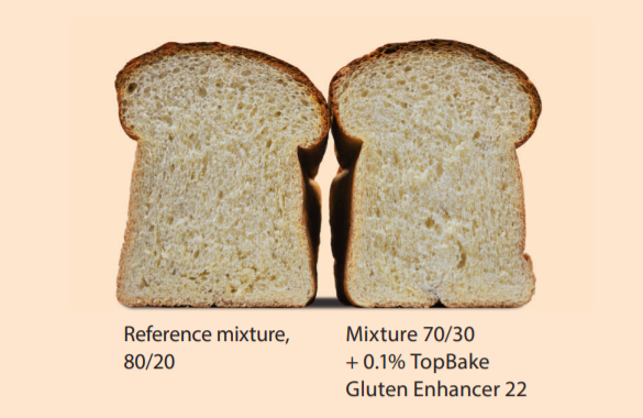 TopBake Gluten Enhancer 22 - Optimization of Hard And Soft Wheat Mixtures