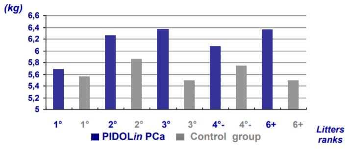 PIDOLin® PCa - Sows