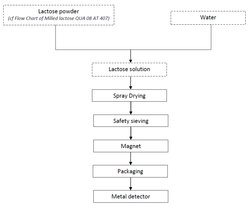 EXCIPRESS™ SD2L - Process Flow Chart
