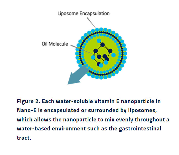 Nano-E® - Research Confirms Efficacy - 1