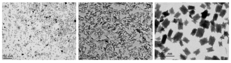 zilight® ultra-small nanozirconia undoped grades - Examples of Particle Morphologies