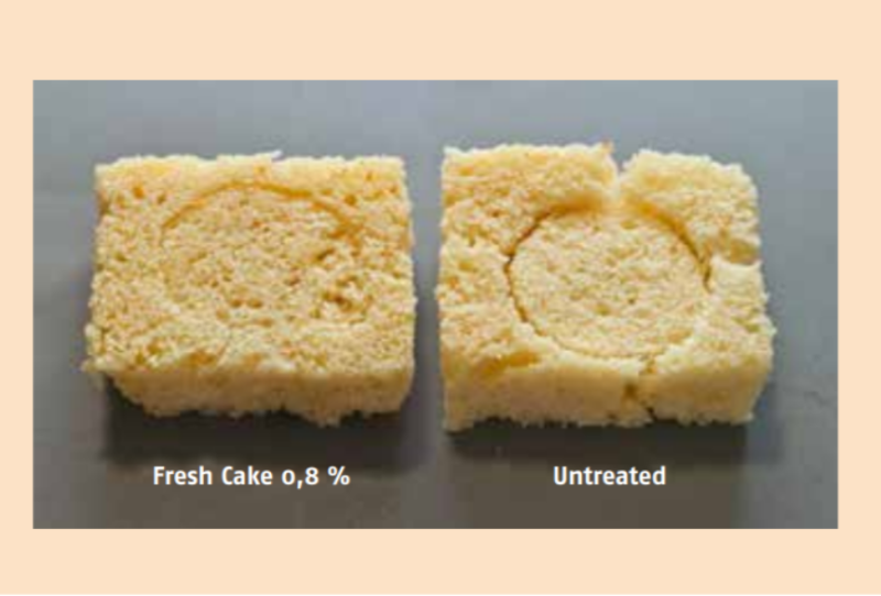 TopSweet Fresh Cake Plus V - Effect On The Crumb Structure of Madeira Cake