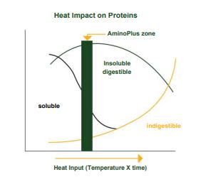 AminoPlus® - Heat Impact On Proteins