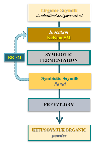 KEFI' Soymilk Organic - Manufacturing And Quality