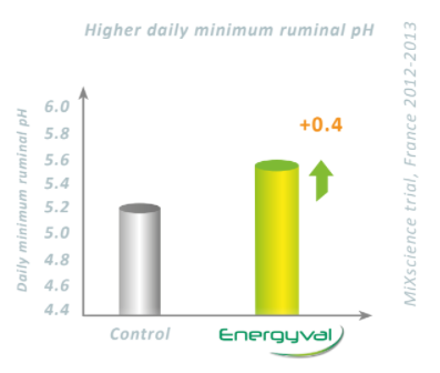 Mixscience Energyval - Experimental Results - 1