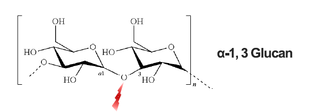 GENOFOCUS Mutanase - Chemical Structure