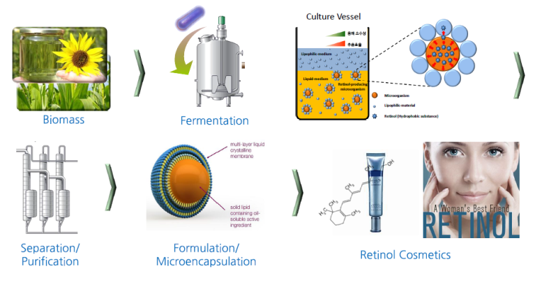 GENOFOCUS Bio-Retinol - Production Process