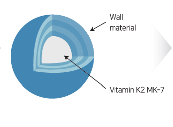 GENOFOCUS Vitamin K2 - Microencapsulated Mk-7