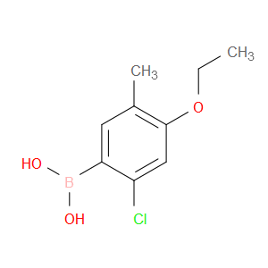 AOBChem (2-Chloro-4-ethoxy-5-methylphenyl)boronic acid - Chemical Structure