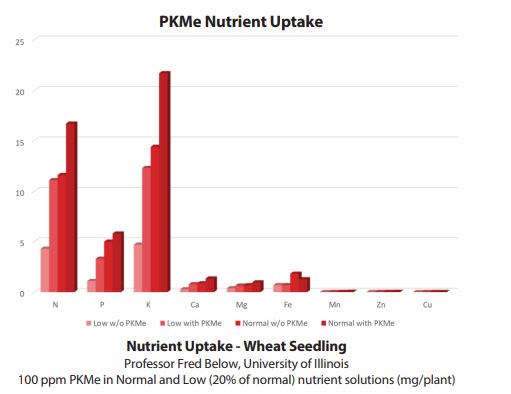 NITREA™ PLUS - Pkme Effects On Root Morphology And Nutrient Uptake
