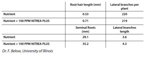 NITREA™ PLUS - Pkme Effects On Root Morphology And Nutrient Uptake - 1