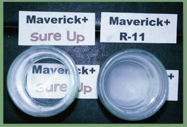Sure UP™ - Sure Up Compared R-11 (Nis) Ability To Put Maverick Herbicide Into Solution. Spray Volume 3 Gallon/Acre.
