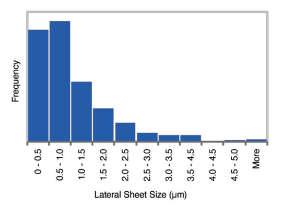 Nanotech Energy, Inc Prime Graphene Oxide Paste (Single Layer Nanosheets) - Technical Analysis - 1