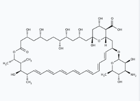 Molekula Amphotericin B - Injection grade (22793495) - Molecular Structure