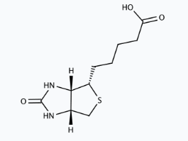Molekula D-(+)-Biotin (20337504) - Molecular Structure