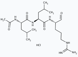 Molekula Leupeptin (89968247) - Molecular Structure