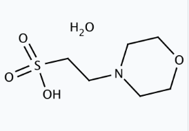 Molekula MES monohydrate (12705461) - Molecular Structure