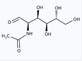 Molekula N-Acetyl-D-glucosamine (20293490) - Molecular Structure