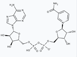 Molekula NAD (beta-Nicotinamide adenine dinucleotide) (27828376) - Molecular Structure