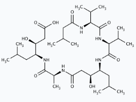 Molekula Pepstatin A (14581189) - Molecular Structure