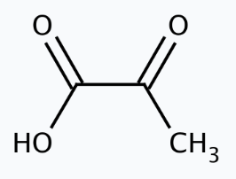 Molekula Pyruvic acid (28177601) - Molecular Structure