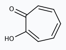 Molekula Tropolone (28877662) - Molecular Structure