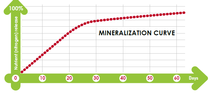 AZOCOR® 6 - Mineralization Curve