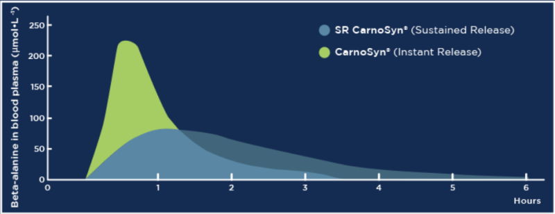 SR CarnoSyn® Beta-Alanine - Sr Carnosyn® Benefits