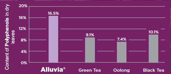 Alluvia® Purple Tea - Clinical Study of Alluvia® Purple Tea