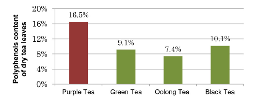 PurpleForce™ - Functional Effect of Purple Tea Extract