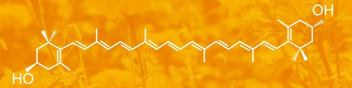 NUTRI-MZ™ Meso-zeaxanthin - Chemical Structure