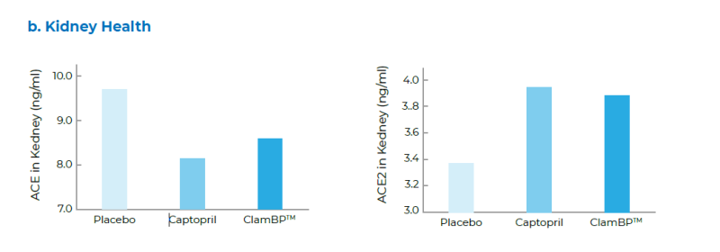 ClamBP™ - Clinical Studies On