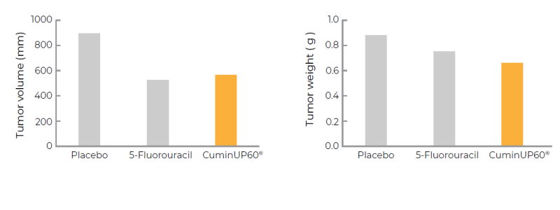CuminUP60® - Pre-Clinical Efficacy Studies On Inhibition of Tumor Growth