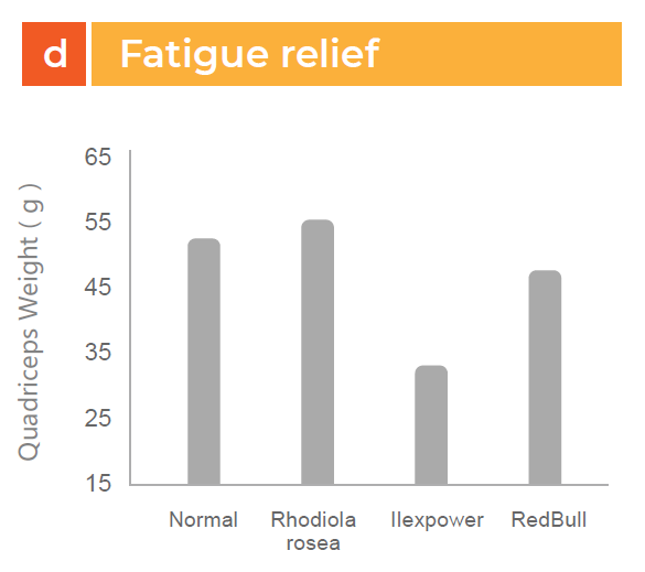 Ilexpower™ - Preclinical Study Onboosting Energy And Relieving Fatigue - 3