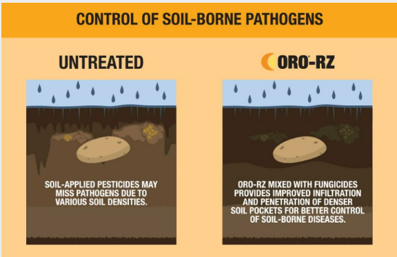 ORO® -RZ - Oro-Rz For Improved Control of Soil-Borne Diseases - 1