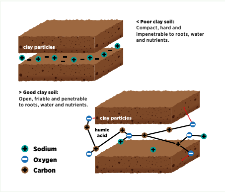 OROMATE K26™ - Development of Good Soil Structure