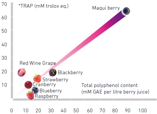 justmaqui® - Maqui Berry – Superior Source For Potent Polyphenols