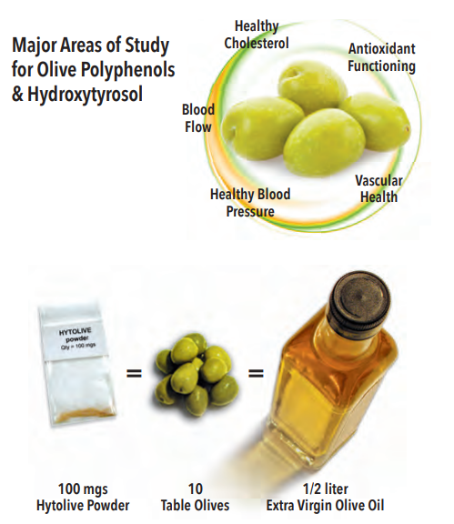 Hytolive® Olive Fruit Polyphenol - Key To Important Health & Formulation Benefits