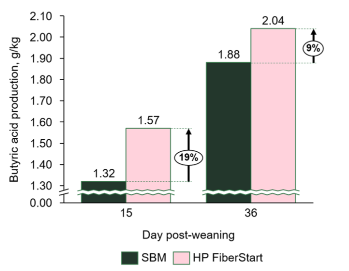 Hamlet Protein HP FiberStart - Features And Benefits
