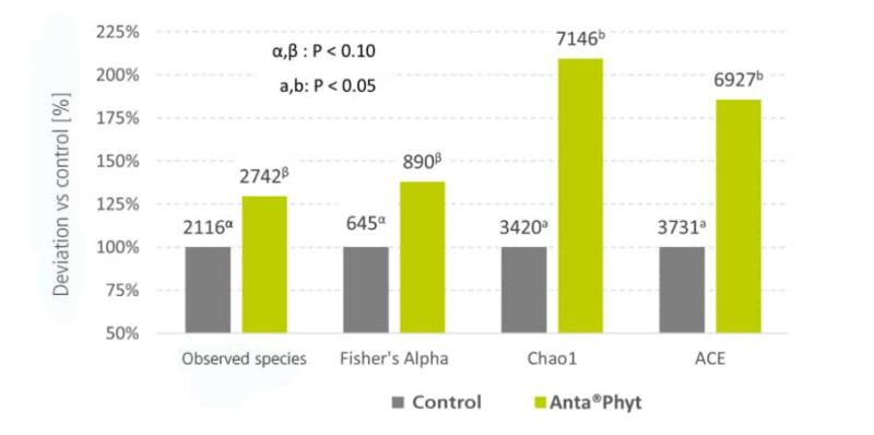 Anta® Phyt - Technical Data