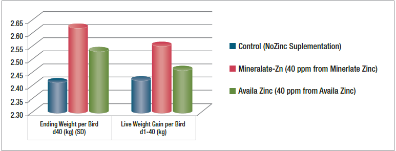 Mineralate™ Poultry Pack - Effect of Zinc Supplementation On Broiler Perfomance