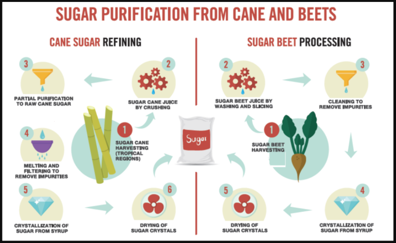 Delicious® Fine Granulated Sugar - Sugar Cane Vs. Sugar Beat