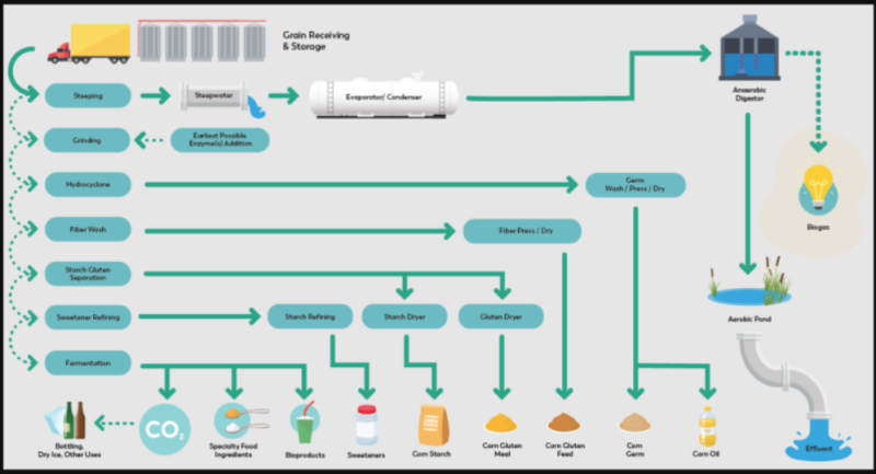 Sweetener Supply High Fructose 55 - Corn Refining Process