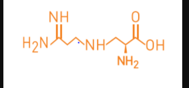 Best Amino™ L-arginine HCL - Chemical Structure