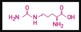 Best Amino™ L-Citrulline - Chemical Structure
